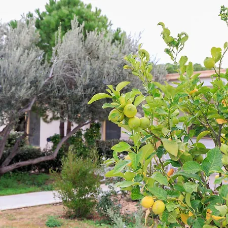 Aura Oda ve Kahvaltı