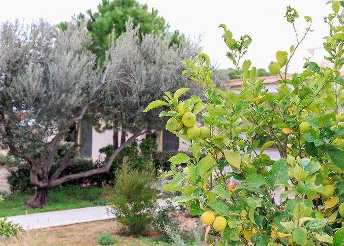 Aura Bed & Breakfast